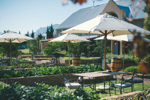 Jasper Raats Wine Tasting - Image 2