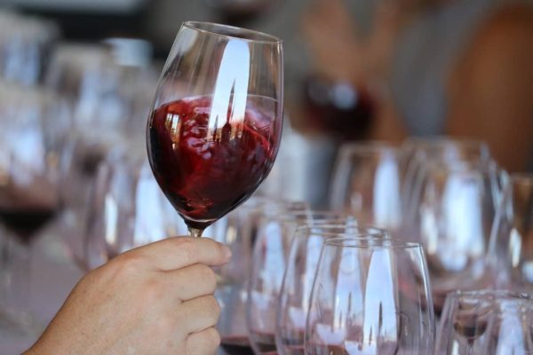 Jasper Raats Wine Tasting