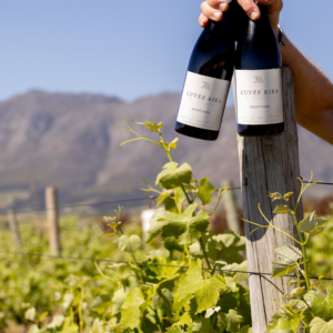 ON PROMOTION Cuvée Rika Pinot Noir - Case of 6 (Special Offer)